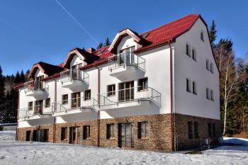 EFI ApartHotel Horní Lipová - winter-detail